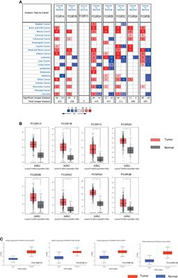 Systematic Analysis of the Expression and Prognosis of Fcγ Receptors in Clear Cell Renal Cell Carcinoma